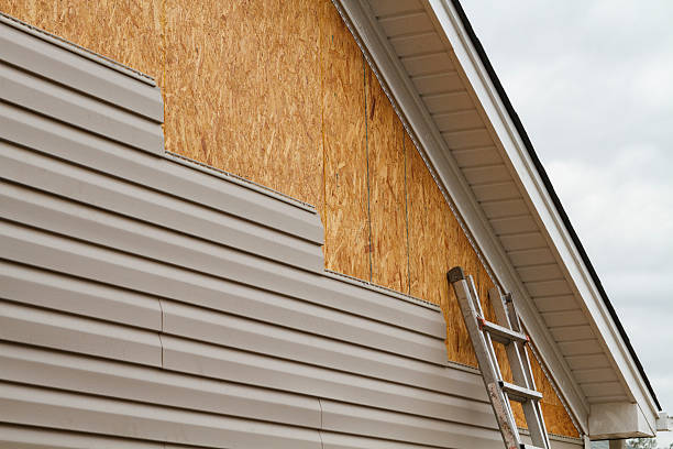 Professional Siding Repair technician working in Robinson, IL